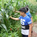 풍서초등학교 이미지