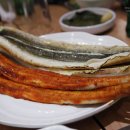 장어생각 이미지