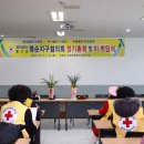 백연골발효차 이미지