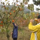 가족사랑체험펜션 이미지