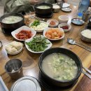 잼마카롱 | 4월 둘째 주