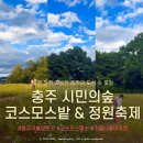 강변시민공원 공도교 벤치 옆 | 충주 시민의숲 코스모스밭 | 2025 충주정원축제 총정리 (주차·개화상황·포토존)