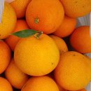 해동 농장 이미지