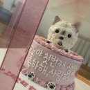 꼬미네까까 이미지