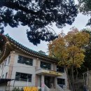 지평도서관 | ✍️서울 동작영어마루도서관 WEEK 3, 100% 영어로 진행되는 영시니어 영어회화 작문수업 후기