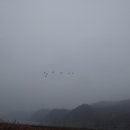 오시나래 이미지