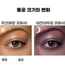 엘리트안경원 이미지