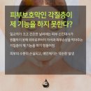 데일리에스테틱 - 목포시 | 데일리에스테틱