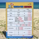 정암해변 버스정류장 | 양양 투썸 정암해수욕장 가볼만한곳 해변 카페