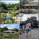 제주도 표선 가볼만한곳 제주민속촌 소요시간 수국 명소 개화