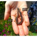 청곡농장 이미지