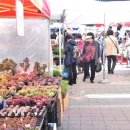 안산패션타운전통시장 이미지