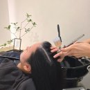 비에스지대체요법센타 | 검단탈모관리 WT메소드 인천검단점 인천 두피관리 잘하는곳