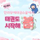 한라무예태권스쿨 | 학정동태권도, 한라무예태권스쿨에서 하루 한시간, 행복충전!