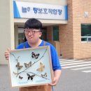 이이씨