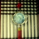 디모데농장 이미지