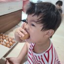 쥴리앤벨라 이미지