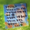 💚.U🌞🧸유태양아~ 해피 왠즈데~~이😆👋🌳🌱🍀💚 이미지