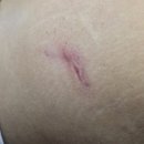 BODY MAKER | 대구에스테틱 - 뷰티메이커