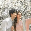 애니 - 익산시 고봉로18길 11 | 애니