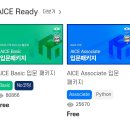 다함에듀학원 | AICE basic 비전공자 시험 만점 합격 후기 | 공부법 팁, 시험준비 팁 공유 +샘플문항 오류에 대한 답답함