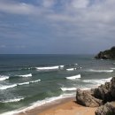 오늘의 바다 이미지