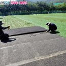 장산 축구장 이미지