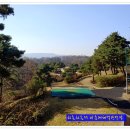 비승대체력단련장 티스토리