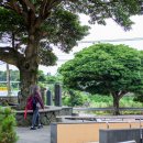 선흘정류장 이미지