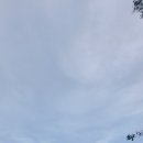 하이퐁