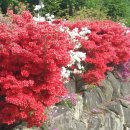 옥산2리 마을회관 이미지