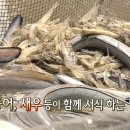 강화갯벌장어영어조합법인 이미지