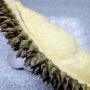 대림서울중앙서비스 | [서울두리안] 두리안제국 대림본점에서 생두리안 구매해 본 솔직 후기