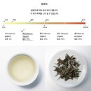 오행다원 | [차생활] 백차 마시다