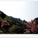 무릉계곡 이미지