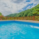 갈기산 포레스트 힐 이미지