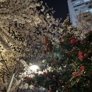 하남초정문2 이미지