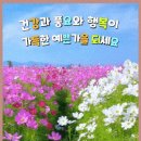 띵~똥~ 이미지