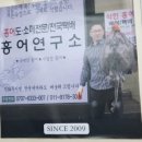 도씨네홍어 이미지