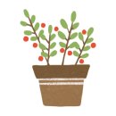 12/11 크리스마스 생화 트리 이미지