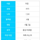 라온디자인 이미지