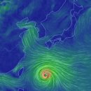 제 8호 태풍 마리아 현 위치 이미지