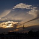 배곧생명공원 이미지