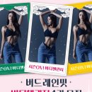 레인핏