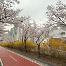 성내천로 이미지