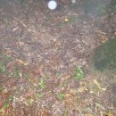 만화2리경로당 이미지