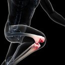 마곡정형외과의원 이미지