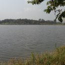 수원-0184 이미지