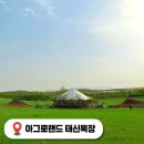 합덕소풍농장 | 아그로랜드 태신목장 캠핑장 벚꽃 예산 아이와가볼만한곳