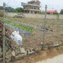 강릉 지구부동산 공인중개사사무소 이미지